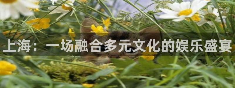 摩登7平台注册：上海：一场融合多元文化的娱乐盛宴