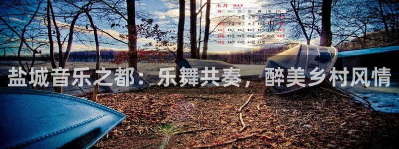 摩登7 lite注册：盐城音乐之都：乐舞共奏，醉美乡村风情