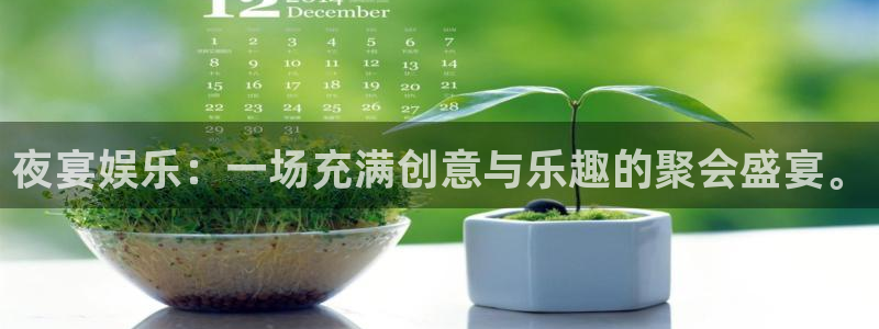 摩登7 lite注册：夜宴娱乐：一场充满创意与乐趣的聚会盛宴。