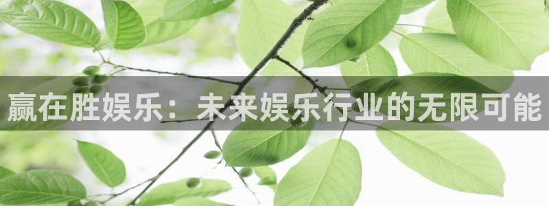 摩登7官网：赢在胜娱乐：未来娱乐行业的无限可能