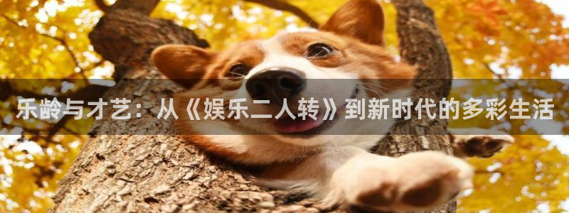 摩登7登录官网：乐龄与才艺：从《娱乐二人转》到新时代的多彩生活